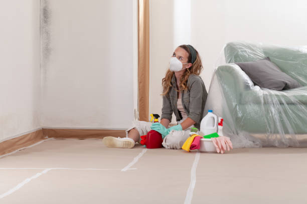 Reliable Crawl Space Mold Removal contractor in Manchester, PA by WQB Mold Removal